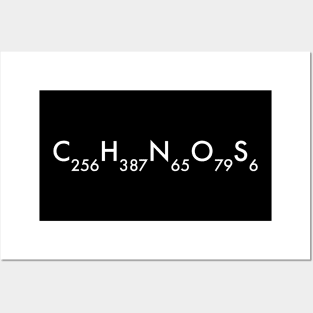 Insulin Molecular Formula White Posters and Art